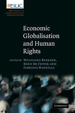 Economic Globalisation and Human Rights: Eiuc Studies on Human Rights and Democratization, Buch