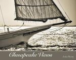 John Werry: Chesapeake Views, Buch