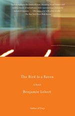Benjamin Lebert: The Bird Is a Raven, Buch