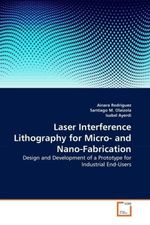 Ainara Rodriguez: Laser Interference Lithography for Micro- and Nano-Fabrication, Buch