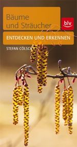 Stefan Cölsch: Bäume & Sträucher, Buch