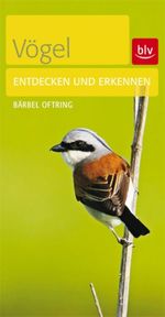Bärbel Oftring: Vögel, Buch