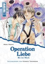 Mari Asami: Operation Liebe 04, Buch