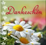 Dankeschön, Buch