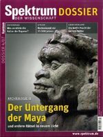 Archäologie: Der Untergang der Maya und andere Rätsel in neuem Licht, Buch