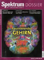 Faszinierendes Gehirn, Buch