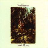 Van Morrison: Tupelo Honey (180g), LP