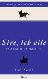 Hans-Joachim Schädlich: Sire, ich eile, Buch