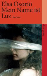 Elsa Osorio: Mein Name ist Luz, Buch