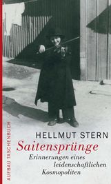 Hellmut Stern: Saitensprünge, Buch