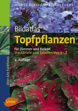 Moritz Bürki; Marianne Fuchs: Bildatlas Topfpflanzen für Zimmer und Balkon, Buch