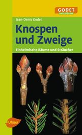 Jean-Denis Godet: Knospen und Zweige, Buch
