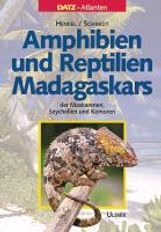 Amphibien und Reptilien Madagaskars, der Maskarenen, Seychellen und Komoren, Buch