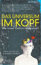 Nikolaus Nützel: Das Universum im Kopf, Buch