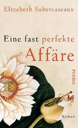 Elizabeth Subercaseaux: Eine fast perfekte Affäre, Buch