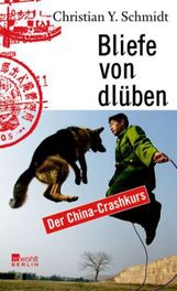 Christian Y. Schmidt: Bliefe von dlüben, Buch