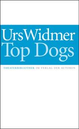 Urs Widmer: Top Dogs, Buch