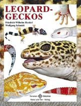 Friedrich-Wilhelm Henkel; Wolfgang Schmidt: Leopardgeckos, Buch