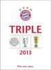 Detlef Vetten: FC Bayern München Triple 2013, Buch