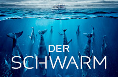 Die komplette ZDF-Serie »Der Schwarm« jetzt auf DVD und Blu‑ray