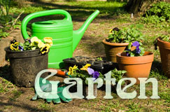 Grüne Gieskanne mit bepflanzten Tontöpfen auf einem grünen Rasen