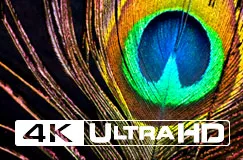 Das ultimative Filmerlebnis: Ultra HD Blu-ray