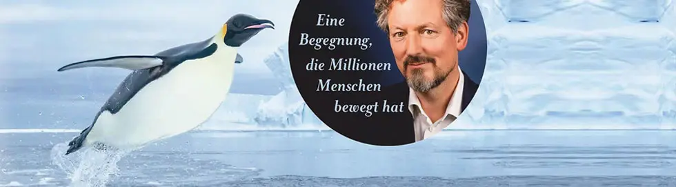 Ein aus dem Wasser fliegender Pinguin