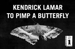 »Kendrick Lamar: To Pimp A Butterfly (10th Anniversary)« auf 2 LPs