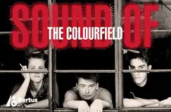 „SOUND OF THE COLOURFIELD“ in großen Buchstaben. Drei Personen schauen durch ein Fenster nach draußen.