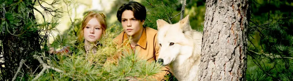 Zwei Jugendliche und ein weißer Hund schauen durch Bäume. Dichte Vegetation, intensiver Blick, Waldatmosphäre.