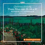 Christian Sinding (1856-1941): Klaviertrios Nr.1-3 (op. 23,64,87), CD