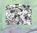 Biota: Measured Not Found, CD