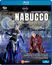Texte: "NABUCCO", "GIUSEPPE VERDI", "Anna Netrebko", "Fondazione Arena di Verona". Zwei Figuren in extravaganten Kostümen.