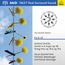 Antonin Dvorak (1841-1904): Streichsextett op.48, SACD