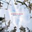 Mysterium Crucis, CD