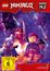 LEGO Ninjago 14 Box 2