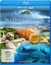 "Best of Weltnaturerbe 3D" Blu-Ray Cover mit Motiven von Natur und Tieren, wie einem Faultier und einem Hai.
