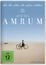 Amrum
