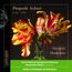 Sinfonie & Ouverture