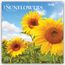 Text: "2027 SUNFLOWERS 16-MONTH CALENDAR". Drei leuchtend gelbe Sonnenblumen unter blauem Himmel mit Wolken.