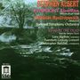 Stephen Albert (1941-1993): Symphonie Nr.1 "River Run", CD