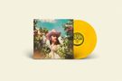 "Duane Betts: Wild & Precious Life" in Großbuchstaben. Eine gelbe Vinylplatte neben einem Albumcover mit Cowboyhut-Motiv., LP