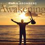 "BRIAN BROMBERG Awakening" steht im Vordergrund. Eine Silhouette mit ausgebreiteten Armen hält eine Gitarre vor einem Sonnenuntergang am Meer.