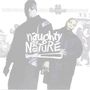 Naughty By Nature: IIcons, CD, CD