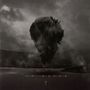 Trivium: In Waves (Limited-Edition) (Gold Vinyl), 2 LPs