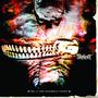 Slipknot: Vol. 3: The Subliminal Verses, CD