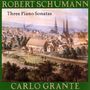 Robert Schumann (1810-1856): Klaviersonaten Nr.1-3, CD