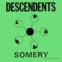 Descendents: Somery, 2 LPs, 2 LPs