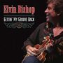 Elvin Bishop: Gettin' My Groove Back, CD, CD