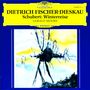 Franz Schubert: Winterreise D.911, CD